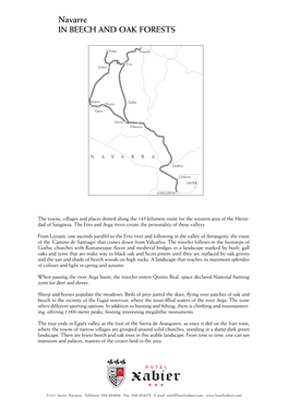 Navarre in BEECH and OAK FORESTS