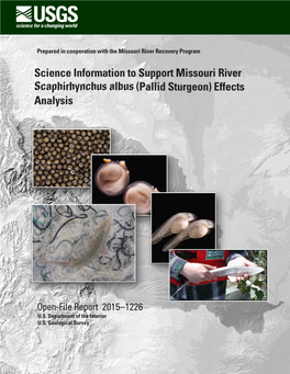 Pallid Sturgeon) Effects Analysis