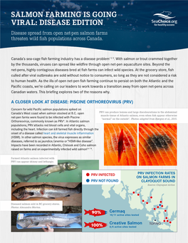 SALMON FARMING IS GOING VIRAL: DISEASE EDITION Disease Spread from Open Net-Pen Salmon Farms Threaten Wild Fish Populations Across Canada