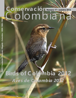 Heliodoxa Hummingbird from the West Andes of Colombia