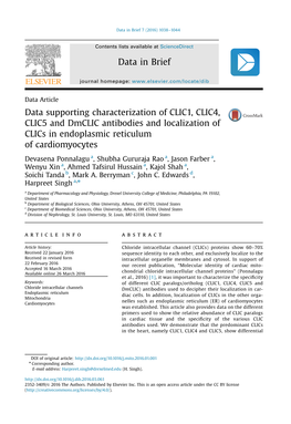 Data Supporting Characterization of CLIC1, CLIC4, CLIC5 and Dmclic Antibodies and Localization of Clics in Endoplasmic Reticulum of Cardiomyocytes