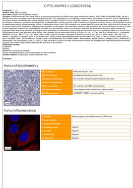 CPTC-MAPK3-1 (CAB079934) Immunohistochemistry