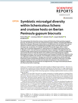 Symbiotic Microalgal Diversity Within Lichenicolous Lichens and Crustose