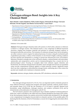 Chalcogen-Nitrogen Bond: Insights Into a Key Chemical Motif