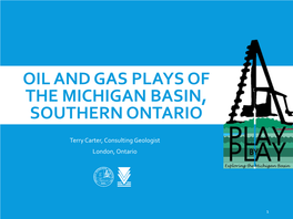 Michigan Basin Oil & Gas Play