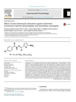 Leishmania (Leishmania) Infantum Promastigotes and Intracellular Amastigotes