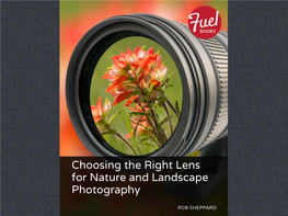 Choosing the Right Lens for Nature and Landscape Photography