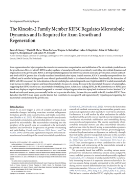 The Kinesin-2 Family Member KIF3C Regulates Microtubule Dynamics and Is Required for Axon Growth and Regeneration