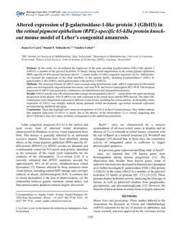 (Glb1l3) in the Retinal Pigment Epithelium (RPE)-Specific 65-Kda Protein Knock- out Mouse Model of Leber’S Congenital Amaurosis