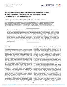 Reconstruction of the Multielement Apparatus of the Earliest Triassic Conodont, Hindeodus Parvus, Using Synchrotron Radiation X-Ray Micro-Tomography