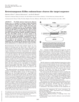 Retrotransposon R1bm Endonuclease Cleaves the Target Sequence