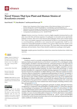 Novel Viruses That Lyse Plant and Human Strains of Kosakonia Cowanii