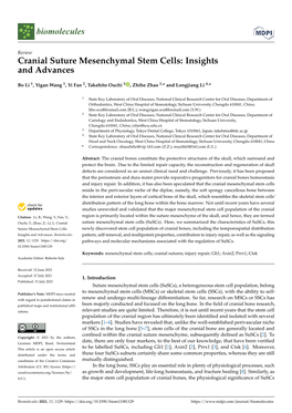 Cranial Suture Mesenchymal Stem Cells: Insights and Advances