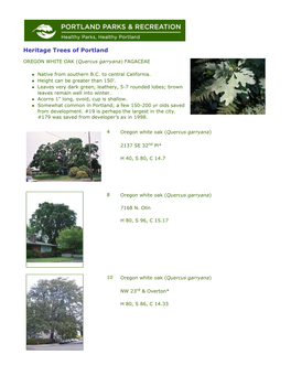 Heritage Trees of Portland