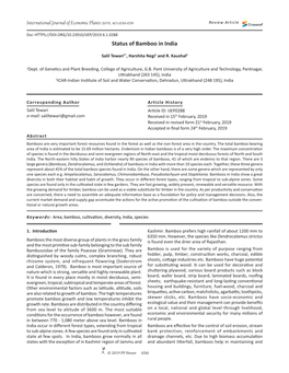 Status of Bamboo in India