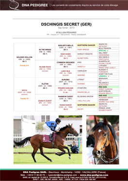 DSCHINGIS SECRET (GER) Bay Horse - 2013