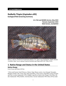 Coptodon Zillii (Redbelly Tilapia) Ecological Risk Screening Summary