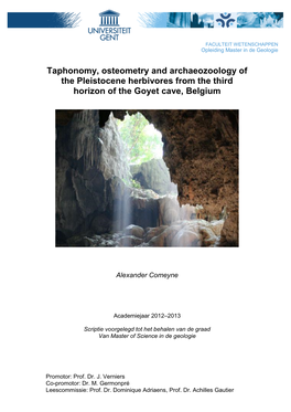 Taphonomy, Osteometry and Archaeozoology of the Pleistocene Herbivores from the Third Horizon of the Goyet Cave, Belgium