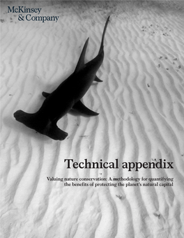 Technical Appendix