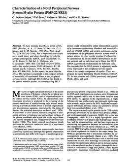 Characterization of a Novel Peripheral Nervous System Myelin