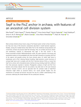 Sepf Is the Ftsz Anchor in Archaea, with Features of an Ancestral Cell Division System