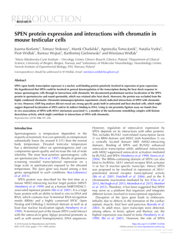 SPEN Protein Expression and Interactions with Chromatin in Mouse Testicular Cells