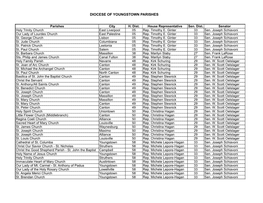 Youngstown Parishe.Xlsx