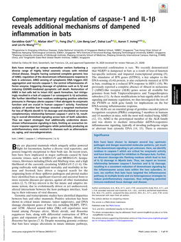 Complementary Regulation of Caspase-1 and IL-1Β Reveals Additional Mechanisms of Dampened Inflammation in Bats