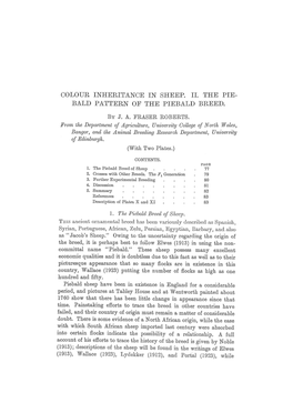 Colour Inheritance in Sheep. II. the Piebald Pattern of the Piebald Breed