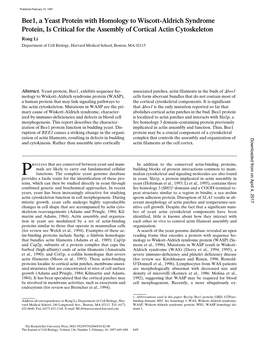 Bee1, a Yeast Protein with Homology to Wiscott-Aldrich Syndrome Protein, Is Critical for the Assembly of Cortical Actin Cytoskel