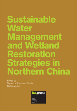 Sustainable Water Management and Wetland Restoration Strategies in Northern China