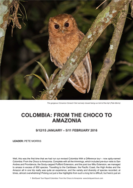 Colombia: from the Choco to Amazonia