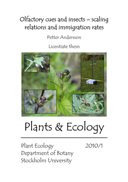 Plants & Ecology