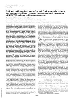 Nrf1 and Nrf2 Positively and C-Fos and Fra1 Negatively Regulate the Human Antioxidant Response Element-Mediated Expression of NAD(P)H:Quinone Oxidoreductase1 Gene