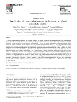 Localization of Zinc-Enriched Neurons in the Mouse Peripheral Q Sympathetic System Zhan-You Wanga,B,C,* , Jia-Yi Lia , Gorm Danscherb , Annica Dahlstromè A