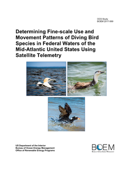 Determining Fine-Scale Use and Movement Patterns of Diving Bird Species in Federal Waters of the Mid-Atlantic United States Using Satellite Telemetry