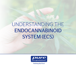 Understanding the Endocannabinoid System