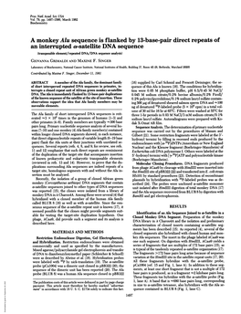 A Monkey Alu Sequence Is Flanked by 13-Base-Pair Direct Repeats