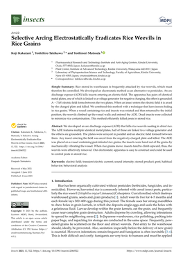 Selective Arcing Electrostatically Eradicates Rice Weevils in Rice Grains