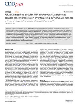 IGF2BP2-Modified Circular RNA Circarhgap12 Promotes Cervical