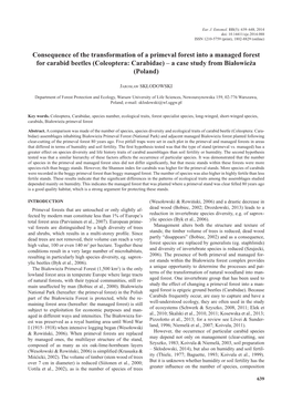 Coleoptera: Carabidae) – a Case Study from Białowieża (Poland)