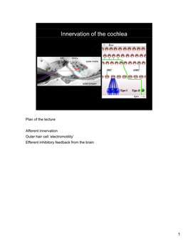 Plan of the Lecture Afferent Innervation Outer Hair Cell 'Electromotility'