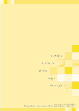 Síntesis Histórica De Los Riegos De Aragón