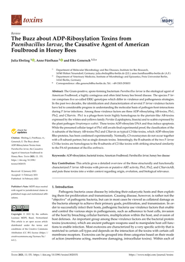 The Buzz About ADP-Ribosylation Toxins from Paenibacillus Larvae, the Causative Agent of American Foulbrood in Honey Bees