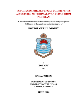 Phd. Thesis Sana Jabeen.Pdf