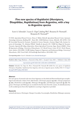 Five New Species of Aspidiotini (Hemiptera, Diaspididae, Aspidiotinae) from Argentina, with a Key to Argentine Species