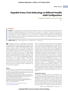 Stapedial Artery: from Embryology to Different Possible Adult Configurations