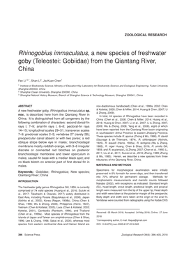 Rhinogobius Immaculatus, a New Species of Freshwater Goby (Teleostei: Gobiidae) from the Qiantang River, China