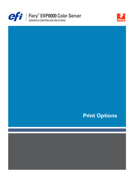 Print Options