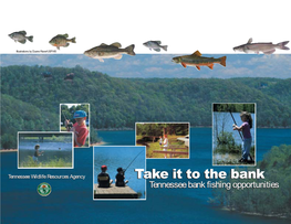 Take It to the Bank: Tennessee Bank Fishing Opportunities Was Licenses and Regulations